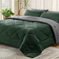 Reversible Queen Bed in a Bag with Comforters, Sheets, Pillowcases Queen King Full Twin