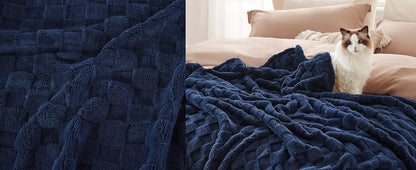 Bedsure Ashley Blue Fleece Blanket for Couch